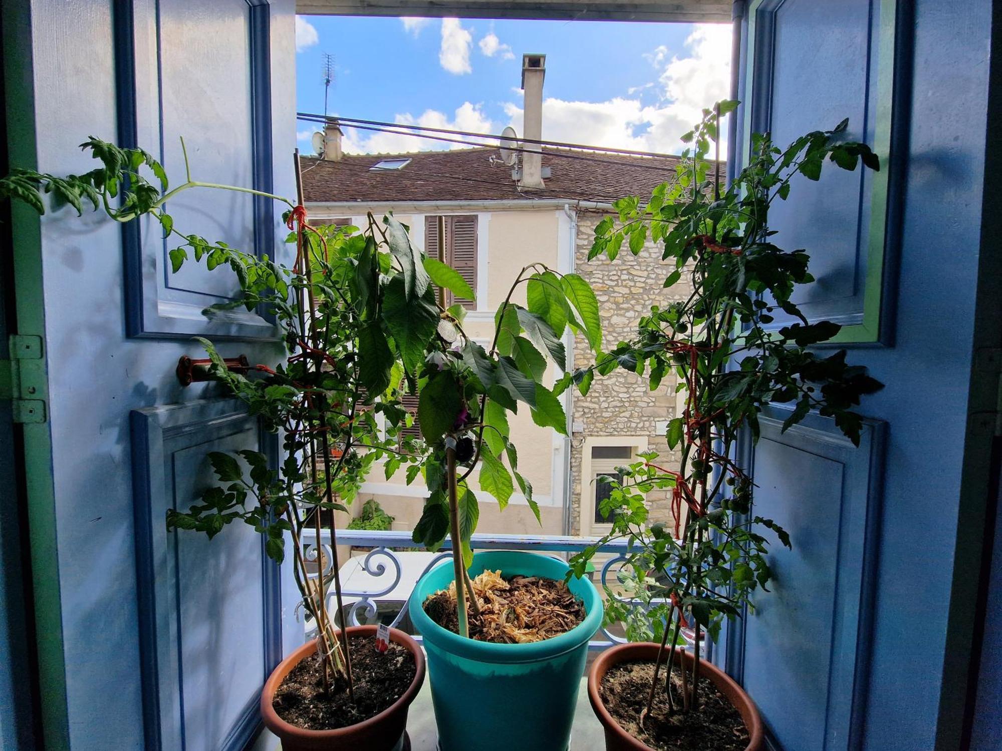 Chez Mamichou Apartment Море-сюр-Лоан Екстериор снимка